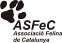Certificación 2
