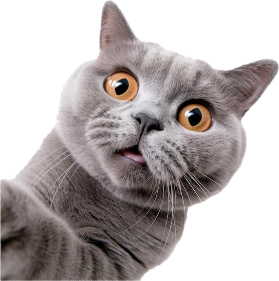 Vista previa de la Historia del British Shorthair